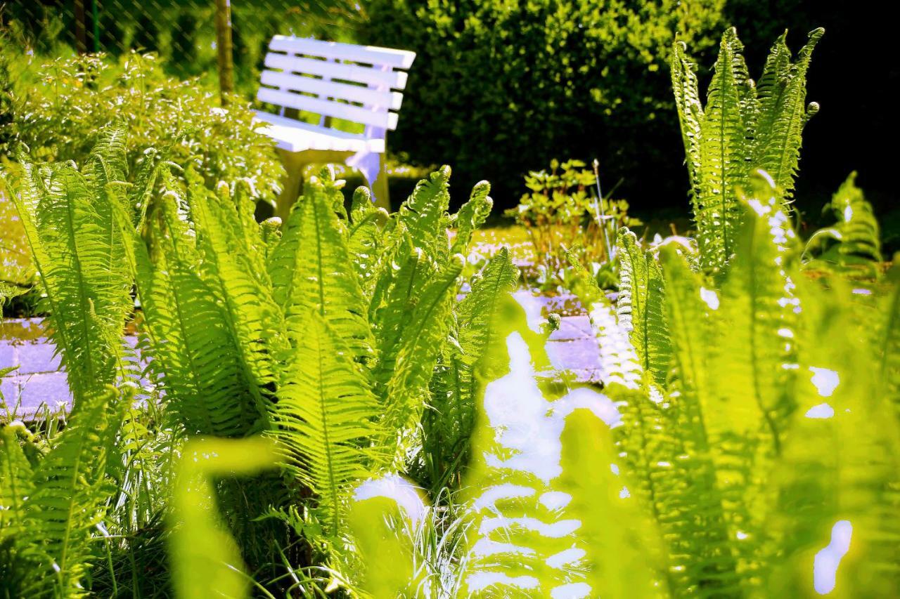 Mitten Im Seenland Und Spreewaldnah, Schoener Garten Storkow  Exteriör bild