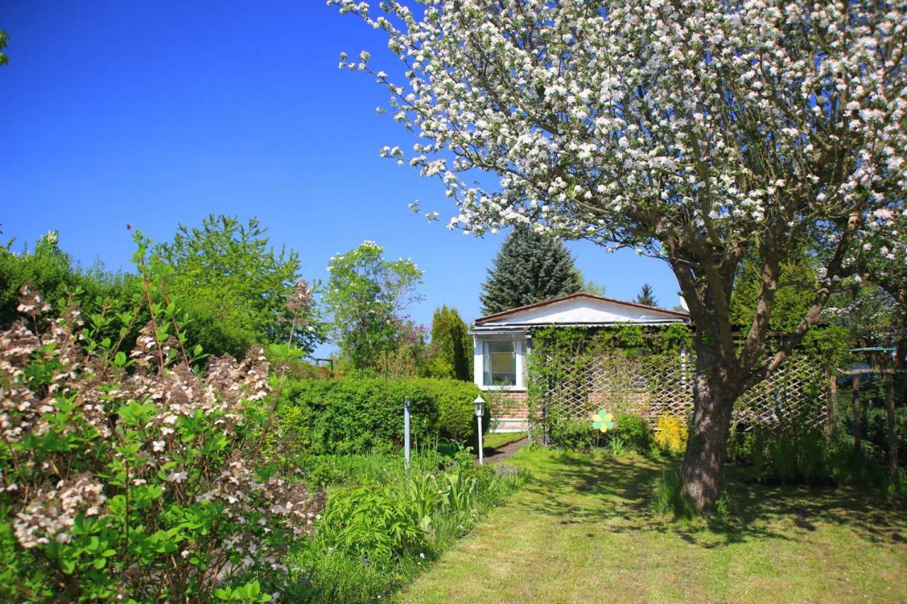 Mitten Im Seenland Und Spreewaldnah, Schoener Garten Storkow  Exteriör bild
